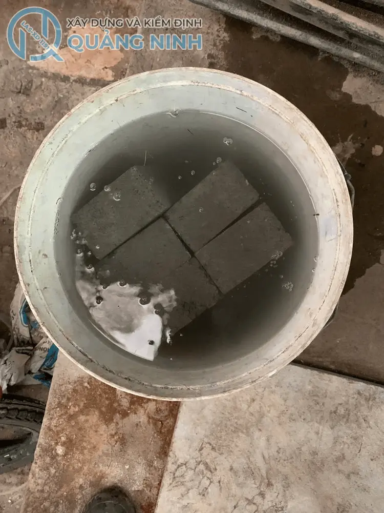 Thí nghiệm nén và hút nước gạch bê tông tại phòng